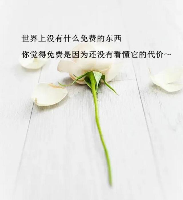 简单人生句子表达心情 简单人生句子表达心情