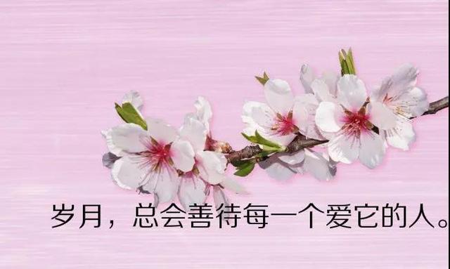 简单人生句子表达心情 简单人生句子表达心情