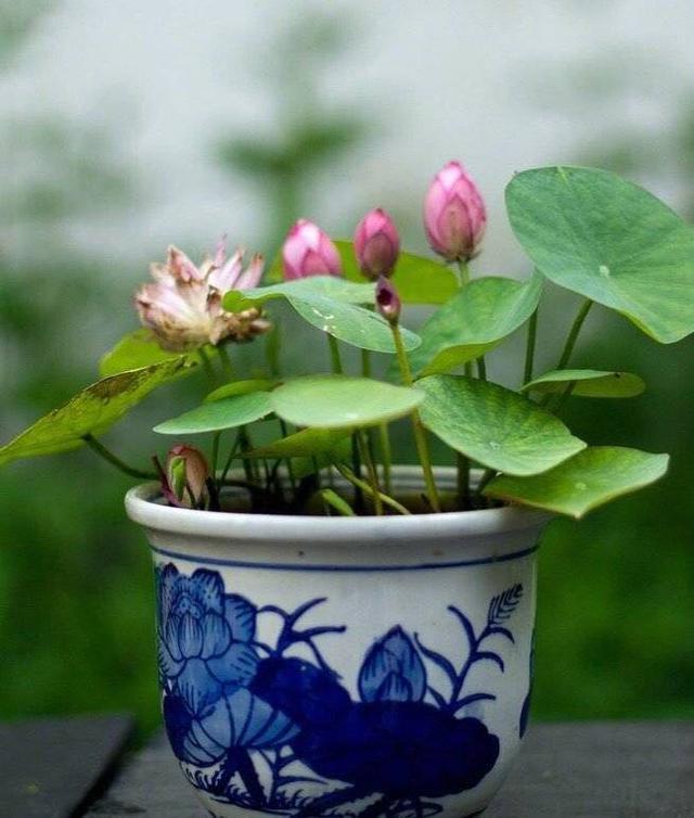 朋友圈配美食的句子 朋友圈配美食的句子