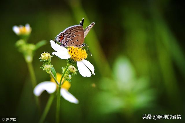 简简单单生活心情短句子 简简单单生活心情短句子