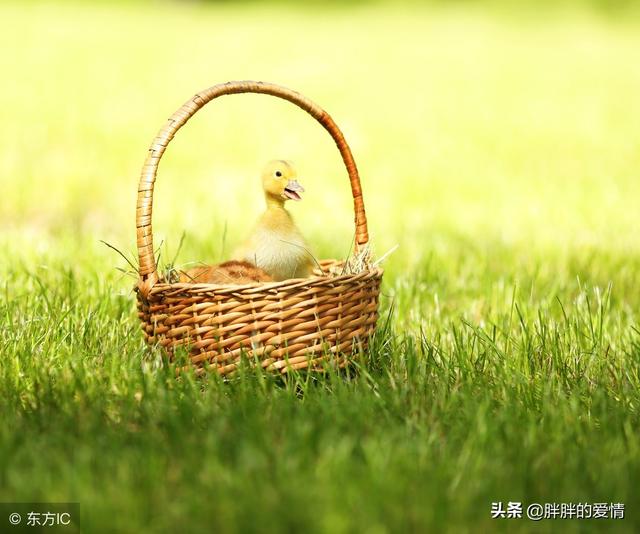 简简单单生活心情短句子 简简单单生活心情短句子