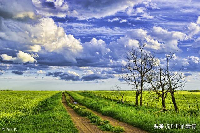 简简单单生活心情短句子 简简单单生活心情短句子