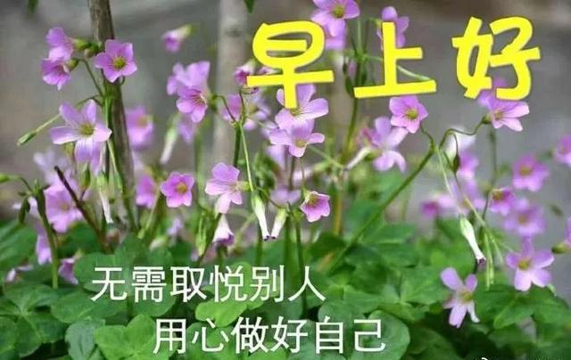 人要活得简单点的句子 人要活得简单点的句子