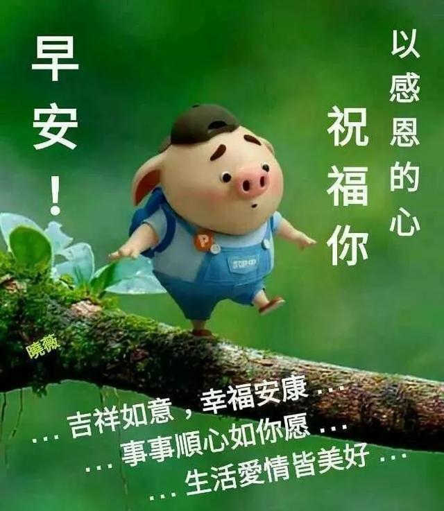 人要活得简单点的句子 人要活得简单点的句子