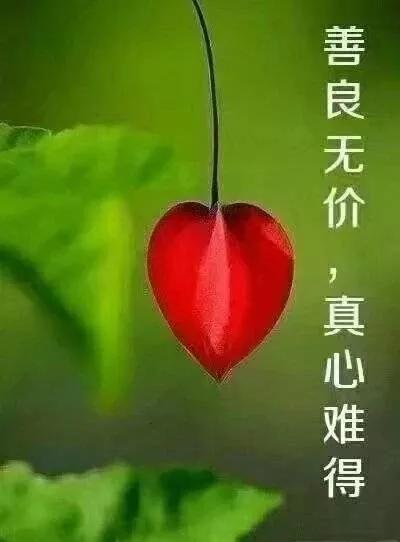 人要活得简单点的句子 人要活得简单点的句子