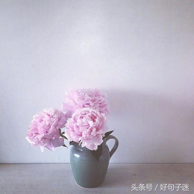 简简单单的爱情句子 简简单单的爱情句子