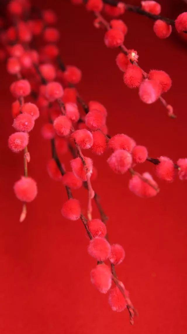 夸赞中国美食的句子 夸赞中国美食的句子