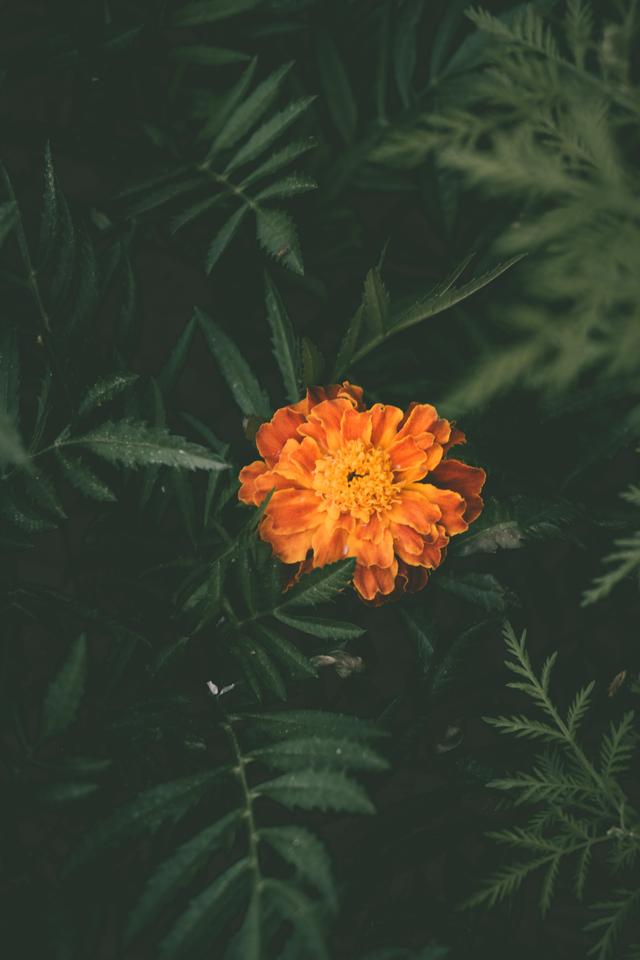 推荐美食的句子朋友圈说说 推荐美食的句子朋友圈说说