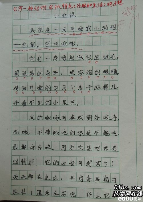 描写美食的句子段落200字_(描写美食作文200字)