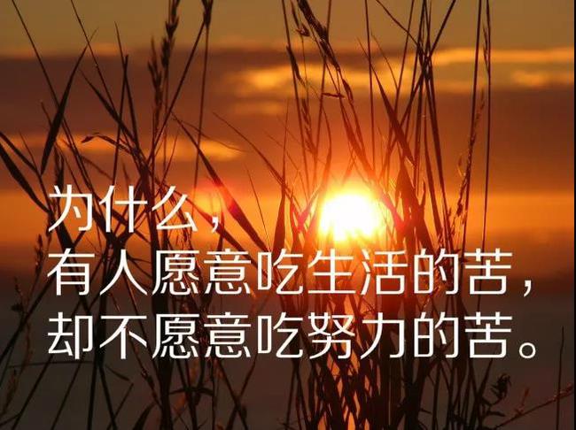 感悟人生哲理句子短句_(有内涵有文采的句子)