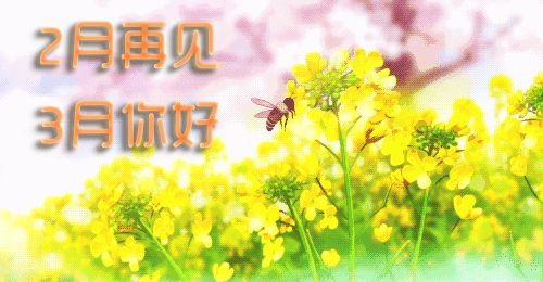 期待我们再相聚的句子简单 期待我们再相聚的句子简单