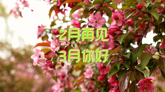 期待我们再相聚的句子简单 期待我们再相聚的句子简单