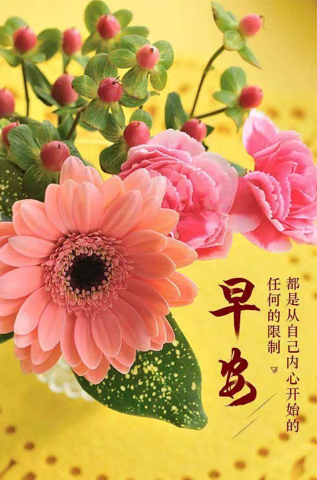 人活得简单透明的句子 人活得简单透明的句子