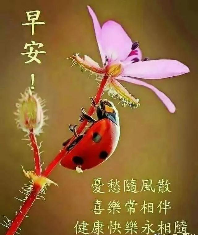 人活得简单透明的句子 人活得简单透明的句子
