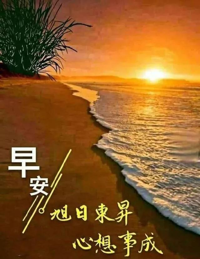 人活得简单透明的句子 人活得简单透明的句子