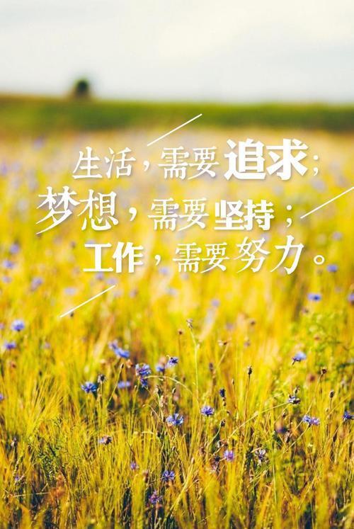 简单感慨人生的句子_(现实生活感悟句子)