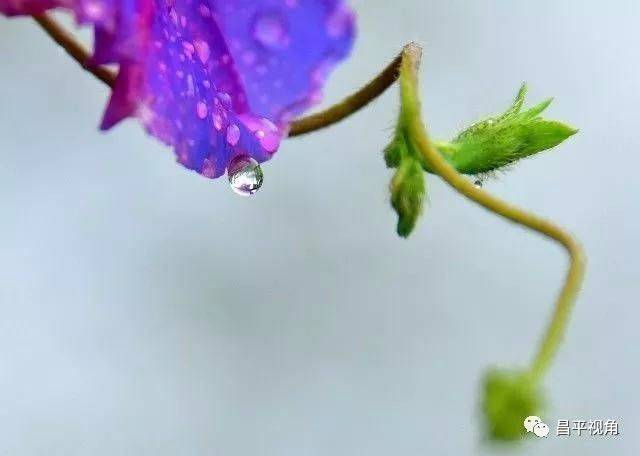 一场秋雨适合发朋友圈的句子_(一场秋雨一场凉)