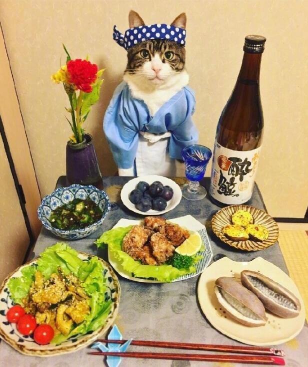 美食朋友圈说说吸引顾客的好句子(朋友圈晒自己做饭语录)