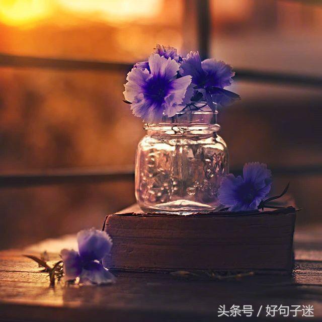 朋友圈简单句子说说心情短语 朋友圈简单句子说说心情短语