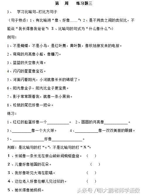 对造句一年级简单的句子大全