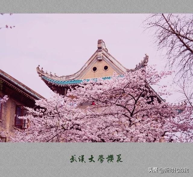 抗疫情的句子100字 抗疫情的句子100字