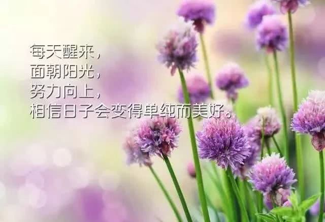 人生感悟的句子简短的语录_(感言简短精辟的句子)