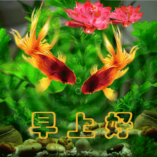 早上好问候语图片早上好祝福简单句子-句子橘 早上好问候语图片早上好祝福简单句子-句子橘