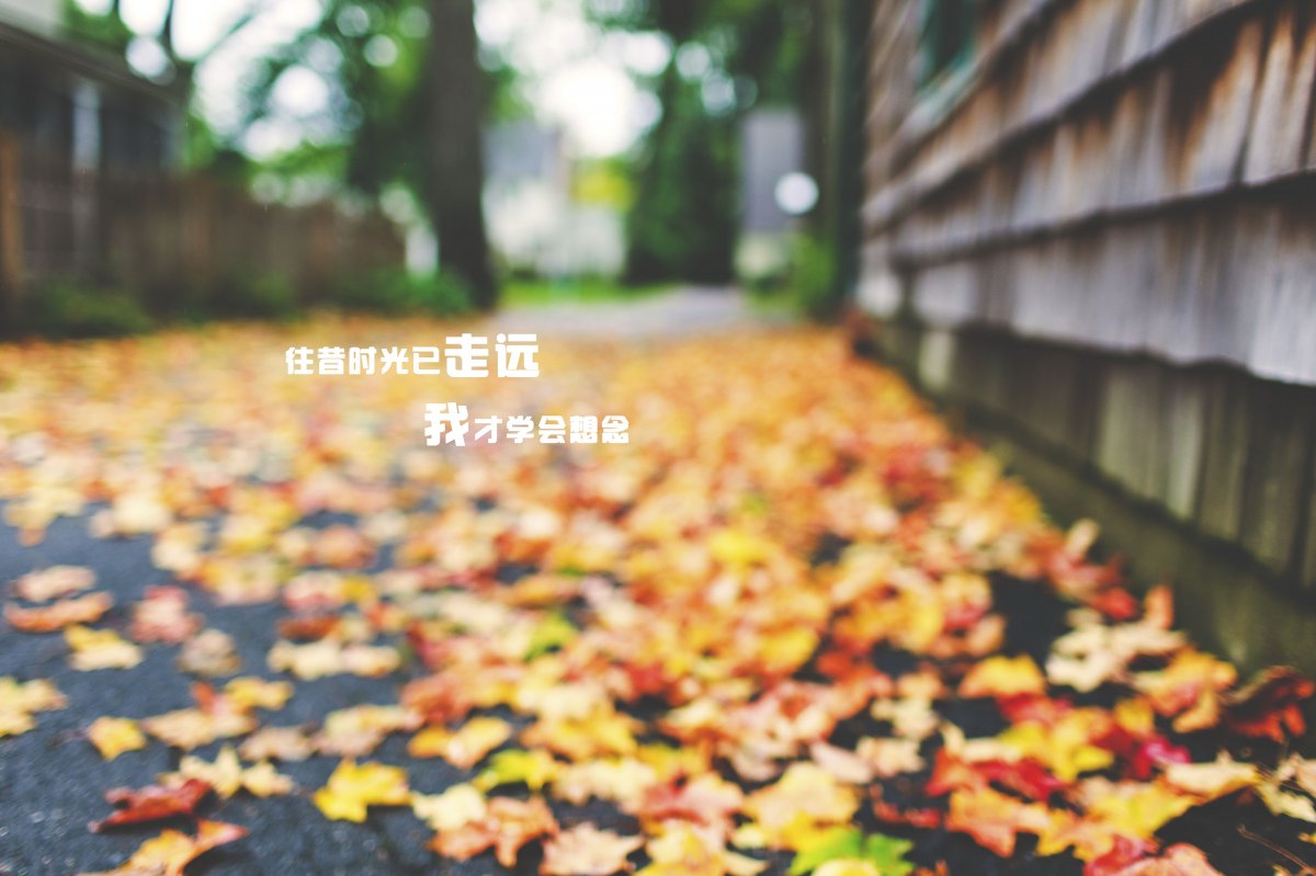 唯美的句子说说心情_(励志语录经典短句)