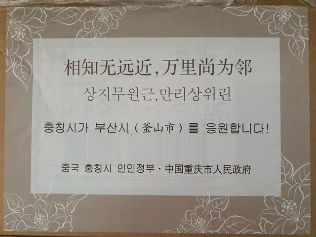 描述全国人民共同抗疫的句子 描述全国人民共同抗疫的句子