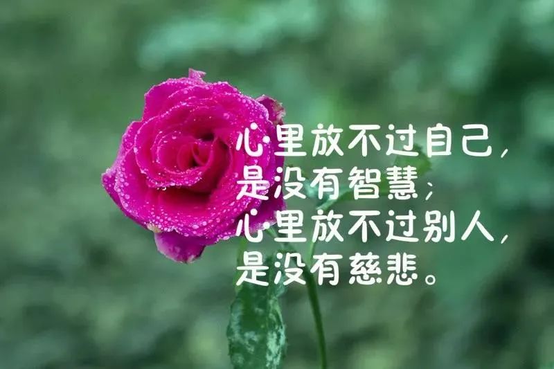 简简单单的生活的句子短句_(一些简单暖心的句子)
