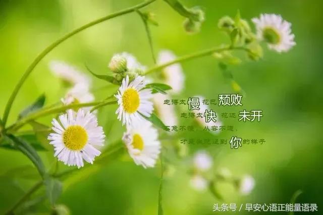 适合发朋友圈简单干净的句子图片_(偶尔发个朋友圈的句子)