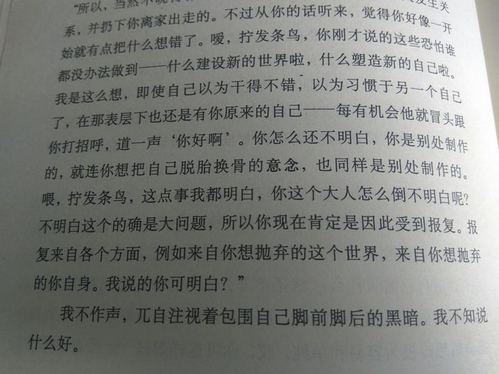 书中一些好的句子_(名著名句经典语录)