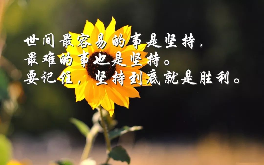 早晨激励人心的正能量哲理语句，正能量励志语录一句话-句子橘