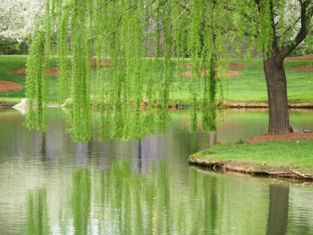 赞美家乡河流的句子 赞美家乡河流的句子