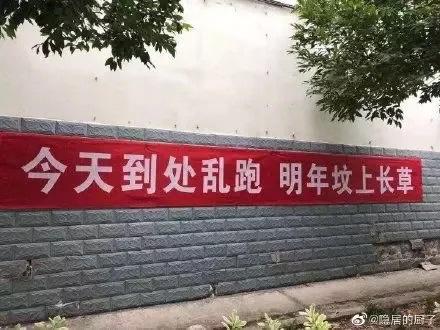 抗疫情搞笑句子 抗疫情搞笑句子