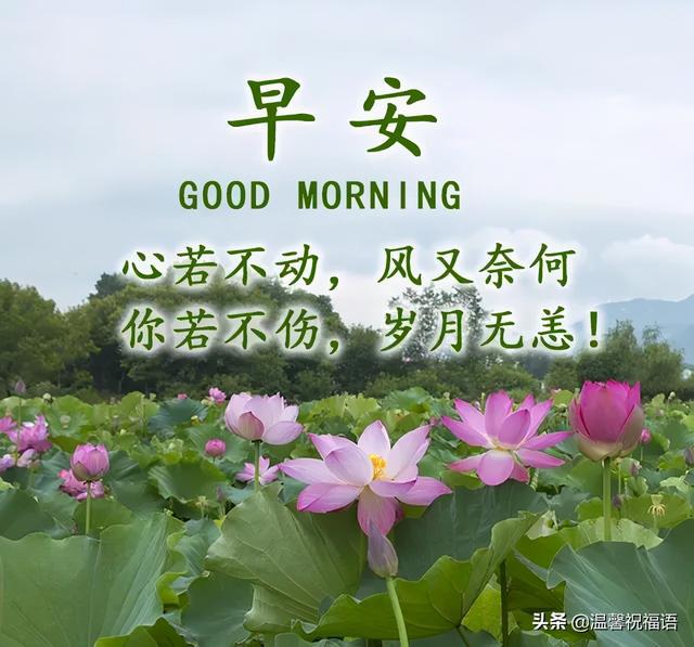 赞美的句子大全 夏天_(赞美夏天的话)
