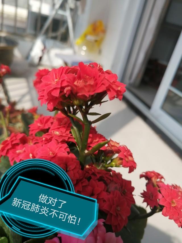 有关如何预防新冠病毒的英语写作用句