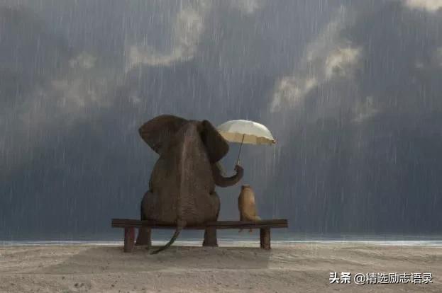 赞美善良的人的句子唯美短句 赞美善良的人的句子唯美短句