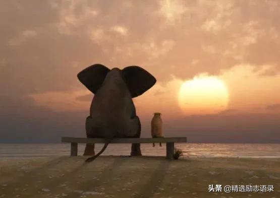 赞美善良的人的句子唯美短句 赞美善良的人的句子唯美短句