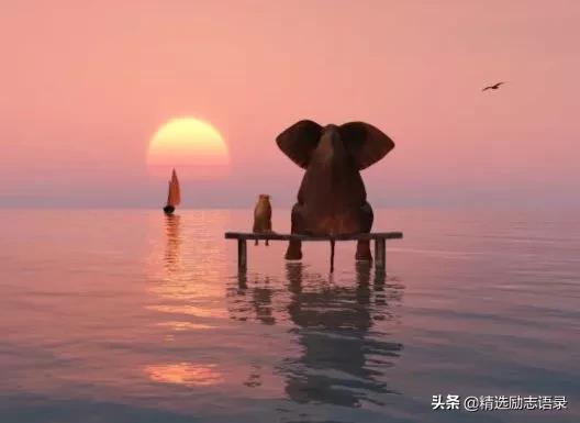 赞美善良的人的句子唯美短句 赞美善良的人的句子唯美短句