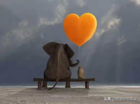 赞美善良的人的句子唯美短句 赞美善良的人的句子唯美短句