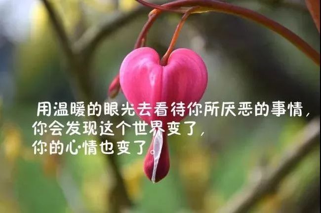 赞美女儿励志的句子大全_(写给女儿的话励志的话)