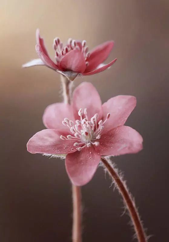 充满哲理的句子,人生感悟!-句子橘 充满哲理的句子,人生感悟!-句子橘