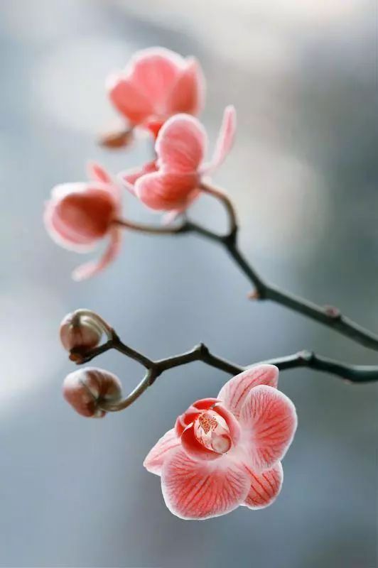 充满哲理的句子,人生感悟!-句子橘 充满哲理的句子,人生感悟!-句子橘