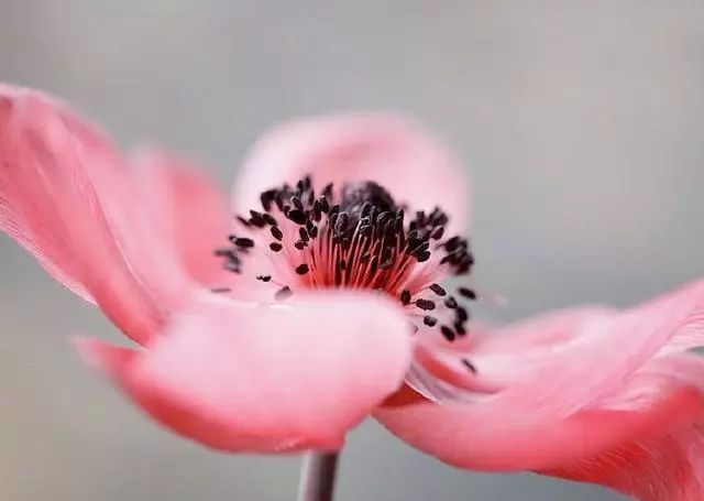 充满哲理的句子,人生感悟!-句子橘 充满哲理的句子,人生感悟!-句子橘