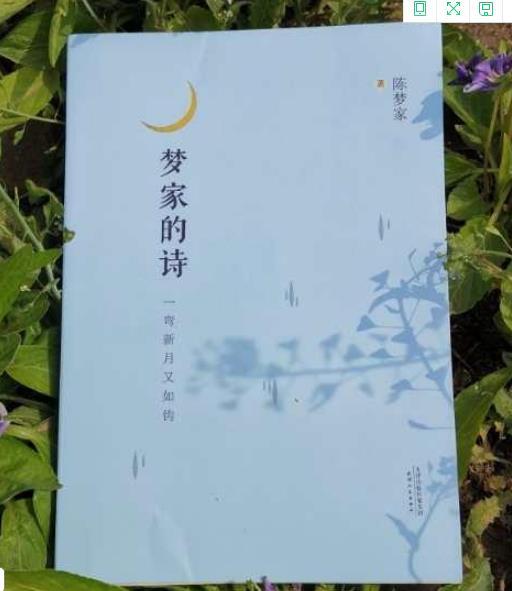 赞美燕子励志的句子 赞美燕子励志的句子