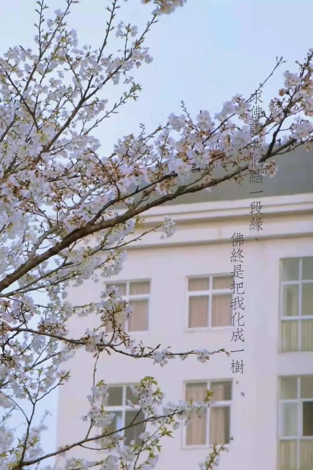 旅游赞美风景和人的句子 旅游赞美风景和人的句子