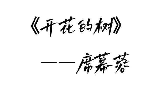 旅游赞美风景和人的句子 旅游赞美风景和人的句子