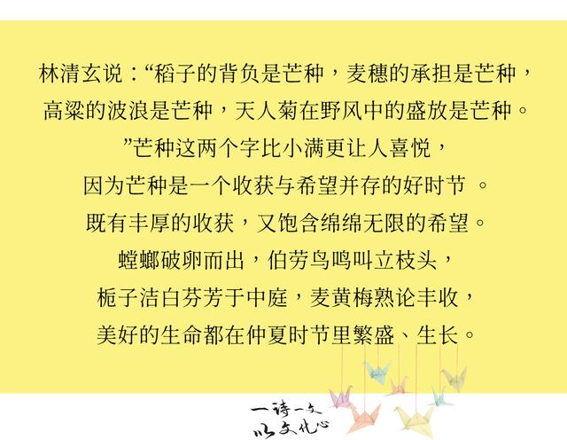 赞美百合花励志的句子大全 赞美百合花励志的句子大全