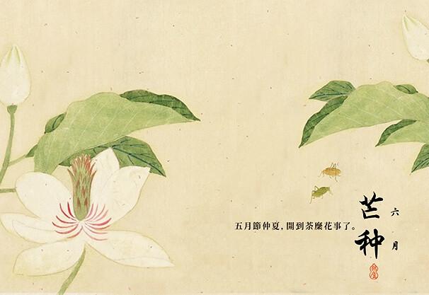 赞美百合花励志的句子大全 赞美百合花励志的句子大全